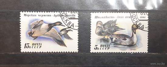 СССР. 1991 год. Фауна. Птицы. Утки (395)