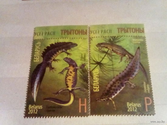 Беларусь 2012 серия тритоны