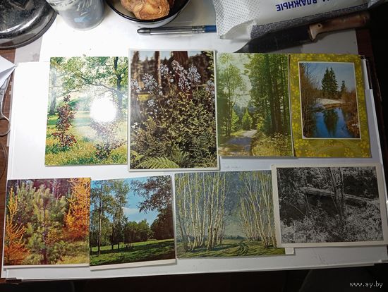 Открытки Природа  . С рубля