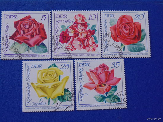 Германия 1972 г. Цветы. Розы.