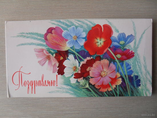 ДВОЙНАЯ ЧИСТАЯ ОТКРЫТКА.СССР. ПОЗДРАВЛЯЮ. 1971 год. худ. П. ЧЕРНЫШЕВ.