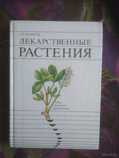 Шамрук, Лекарственные растения. Сбор, заготовка, применение