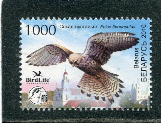 Беларусь 2010. Птица года. Сокол-пустальга
