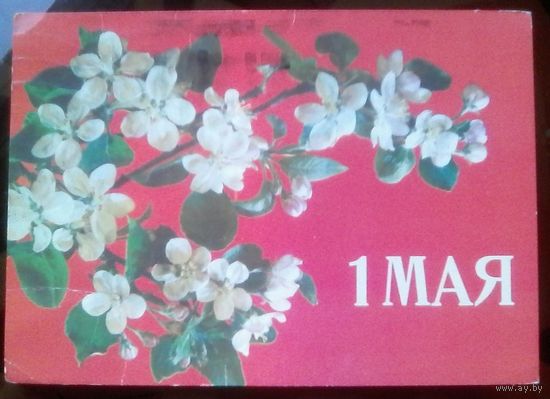 1987 год И.Дергилёв 1 мая