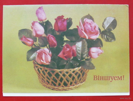 Вiншуем! Чистая. Двойная. 1992 года. Круцко. # 256.