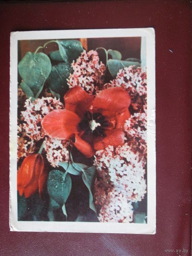 Почтовая карточка.СССР.1968г.Чистая,