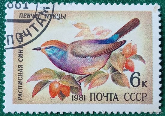 СССР 1981. Расписная синичка. Певчие птицы