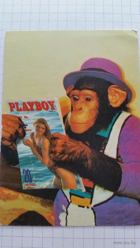 Календарик. Обезьянка.