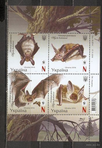 ФФ3 Украина 2016 Летучие мыши