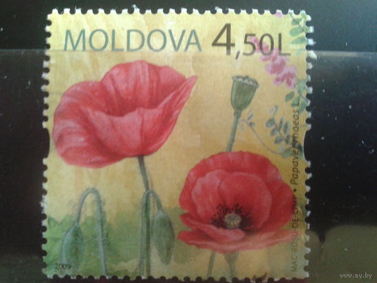 Молдова 2009 Маки, марка из блока Михель-3,0 евро гаш