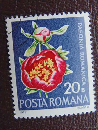 Румыния 1972 г. Цветы.