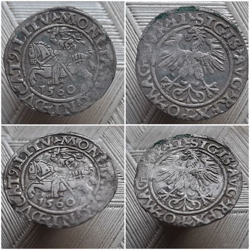 Полугрош 1560 года LITV.