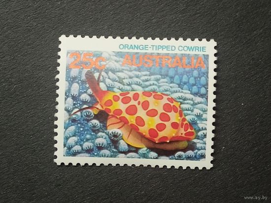 Австралия 1984. Жизнь моря. Леопардовый каури