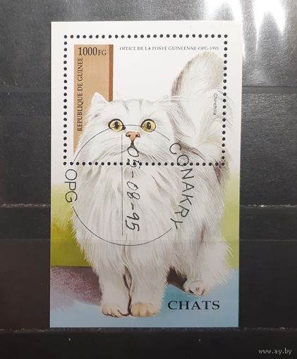 Республика Гвинея. 1995 год. Фауна. Кошки. Блок (763)