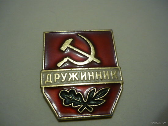 Дружинник