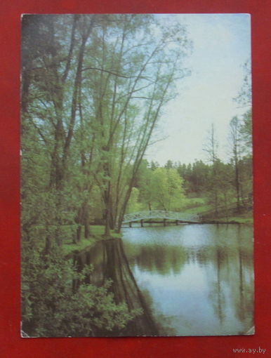 Пушкинский заповедник. Пейзаж. Чистая. 1986 года. Фото Листопадова. 1480.