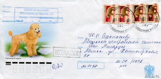 Россия 2012. Конверт, прошедший почту "Карликовый пудель"