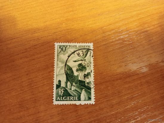 Французская колония Алжир архитектура фауна птицы (4-16)