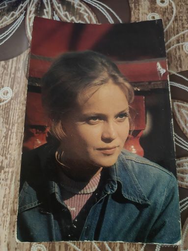 Артисты Шевчук