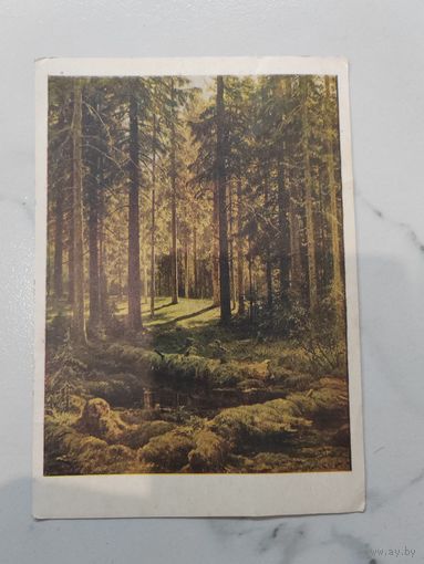 Открытка. Филателистическая контора. 1952 г. СССР.