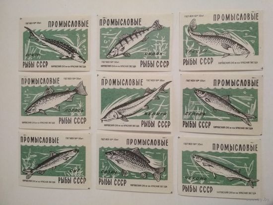Спичечные этикетки ф.Красная звезда. Промысловые рыбы СССР. 1959 год