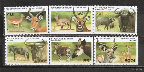 ФФ2 Бенин 1996 Фауна