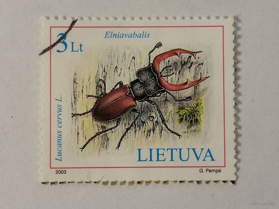 Красная книга Литвы - жуки (Жук-олень Lucanus cervus)