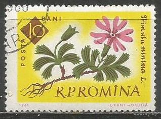 Румыния. Цветы. Первоцвет. 1961г. Mi#2020.