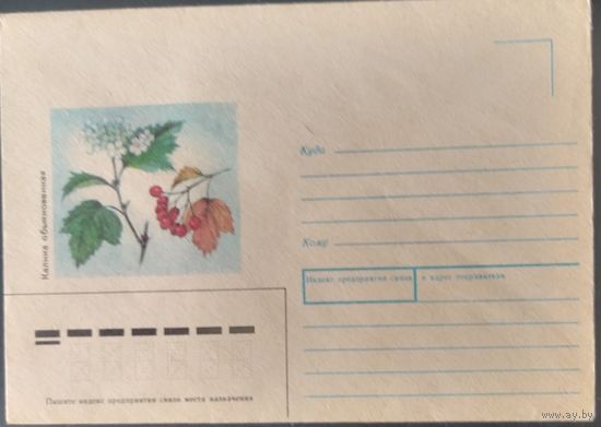 СССР 1989  калина.