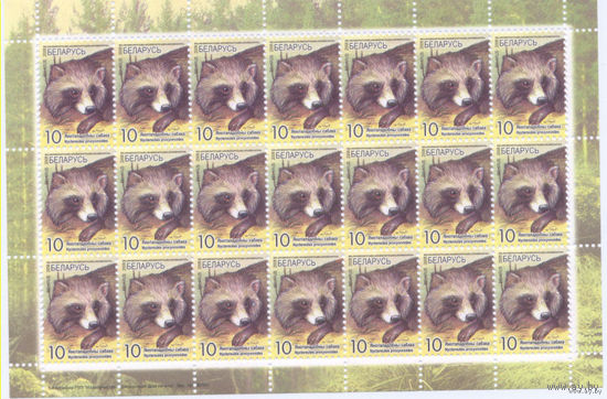 Стандарт РБ,  2008 No724 Енотовидная собака, МЛ,