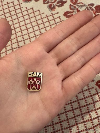БАМ железнодорожный транспорт ЗНАЧОК С РУБЛЯ