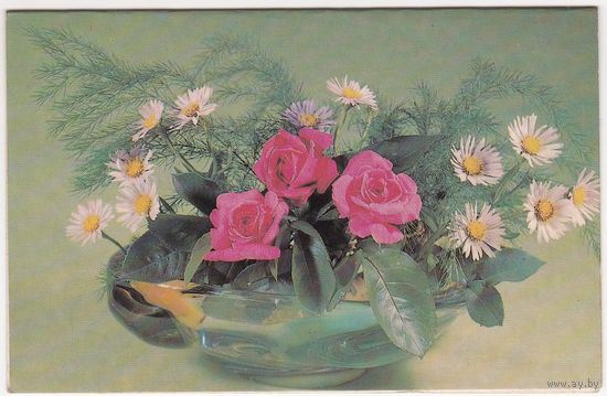 Открытка 1982 (359)
