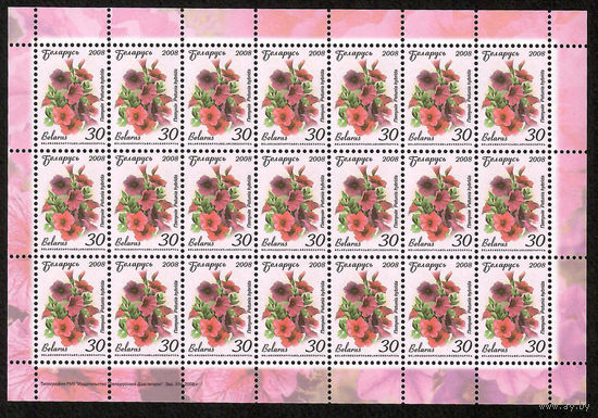 Беларусь. 2008. Стандарт.  Петуния (30р) (з.314-2008) Лист
