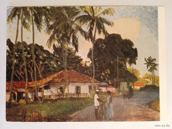 1957. Таран. Цейлон. Пригород Коломбо