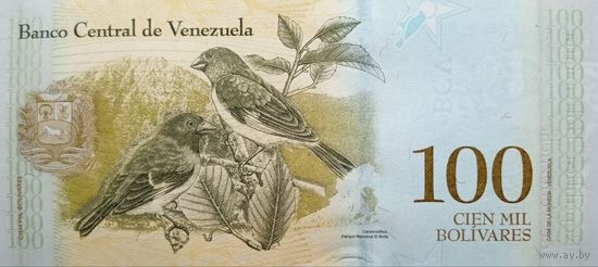 Werty71 Венесуэла 100 боливаров 2017 UNC банкнота