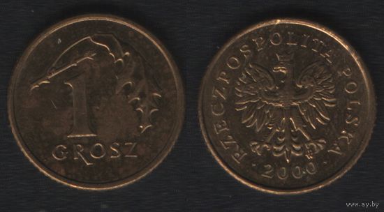 Польша y276 1 грош 2000 год (mw) (_alb2