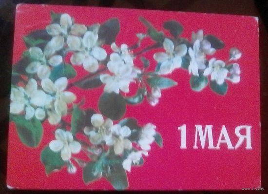 1987 год И.Дергилёв 1 мая