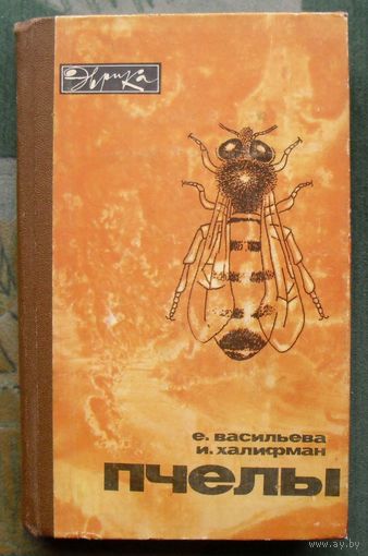Пчелы. Е. Васильева, И. Халифман. Серия Эврика.