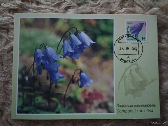 Беларусь. 2002. Картмаксимумы. Серия 5 штук