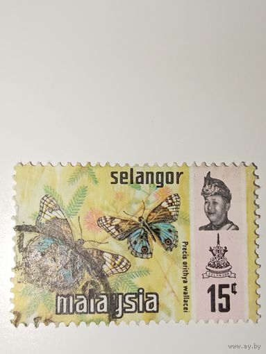 Малайзия,Селангор 1971. Фауна.Бабочки.15 с