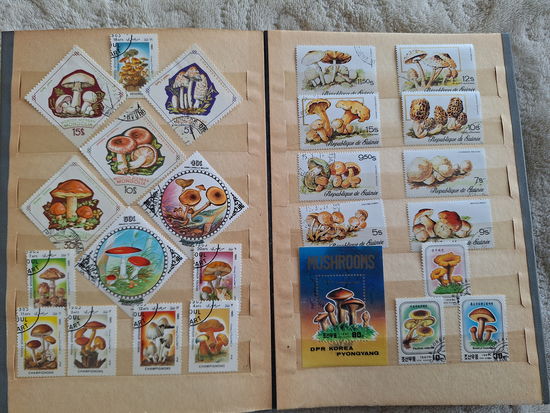 Альбом с марками - флора и фауна - марки грибы, цветы и др