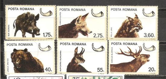 ФФ1 Румыния 1976 Охота