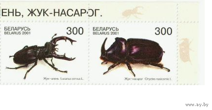 Жуки Беларусь 2001 год (415-416) 2-х марки угол фауна**