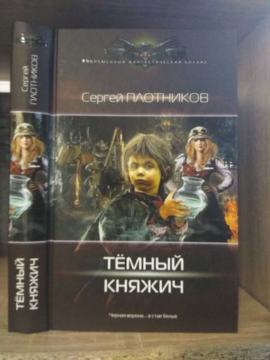 Плотников С. "Темный княжич" Серия "Современный фантастический боевик"