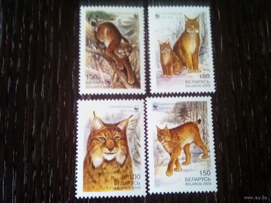 Беларусь 2000 серия рыси