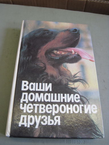 Ваши домашние четвероногие друзья. 1992 г.