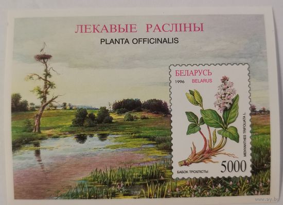 Блок Бабок трехлистный