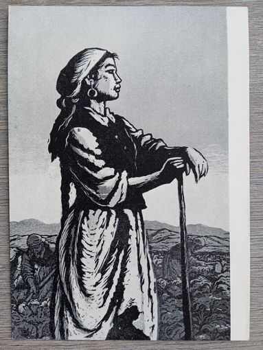 1958. Ильина. Свекловичница