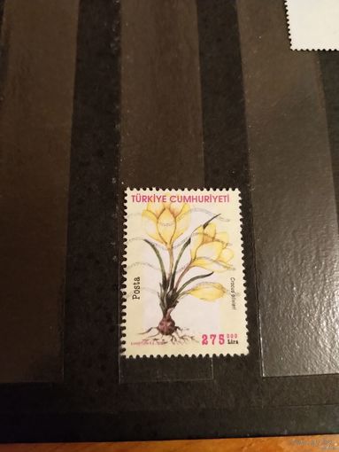 2000 Турция флора цветы дорогая (3-13)