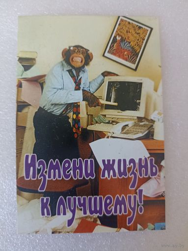 Животные, Обезьяны, 2004 год. Карманные календарики, Календарик, Календарь